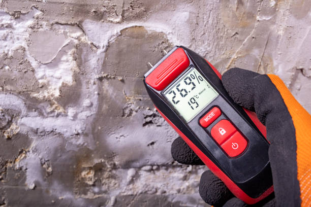Best Toxic Mold Removal  in Edburgh, IN