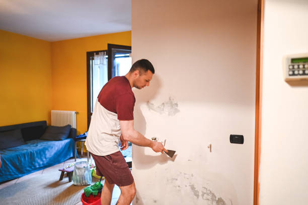Best Mold Removal Company Near Me  in Edburgh, IN