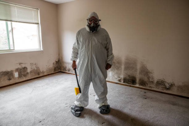 Professional Mold Removal in Edinburgh, IN